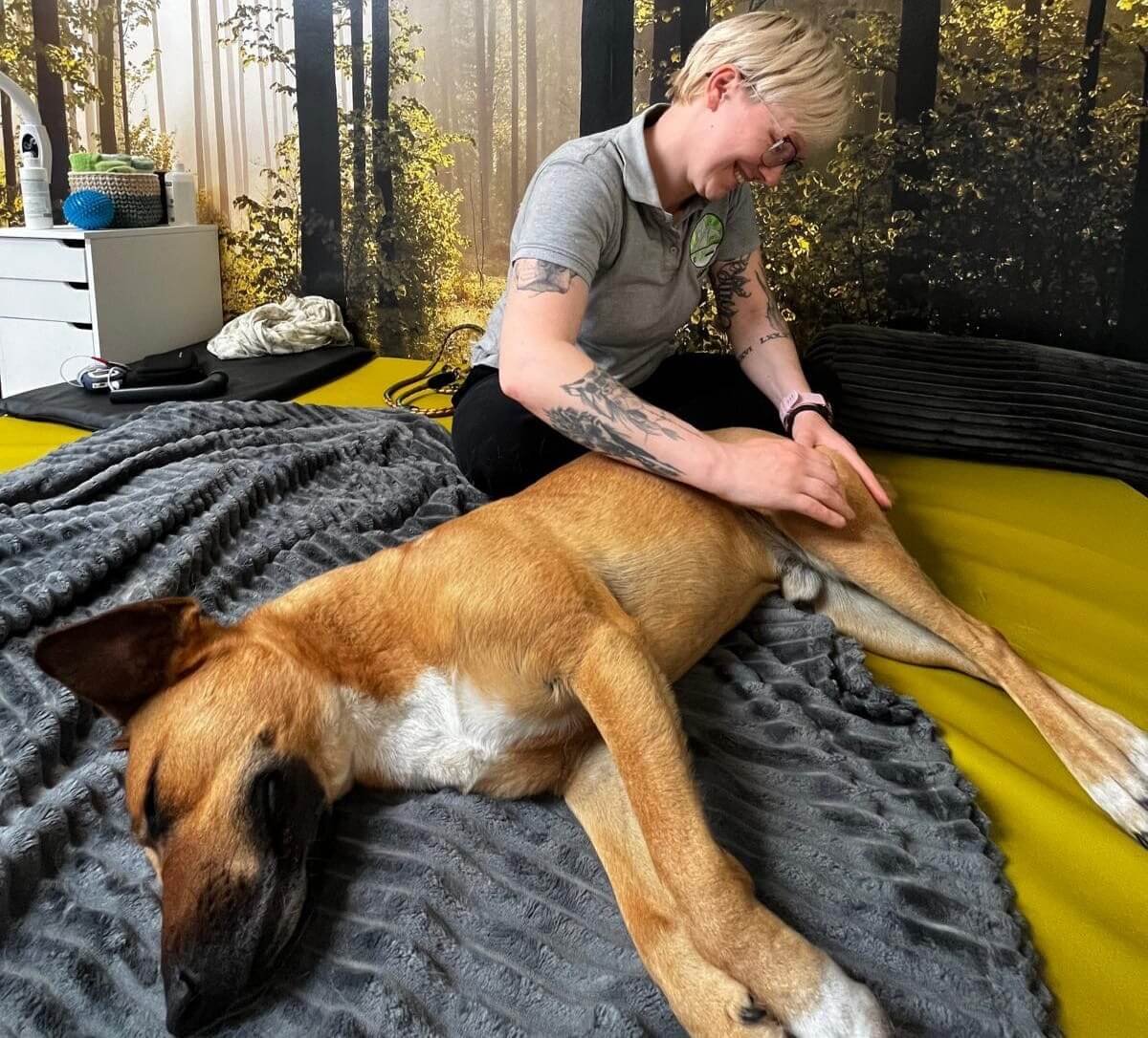 Madlen Wollschläger behandelt einen Hund in ihrer Praxis